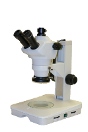 Stereomicroscope - Zoom  